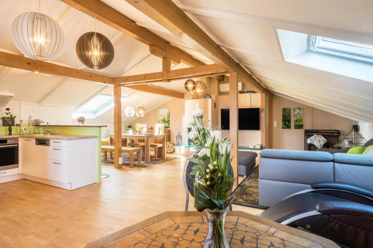 Luxurioeses Penthouse-Appartement Höchst Exteriör bild